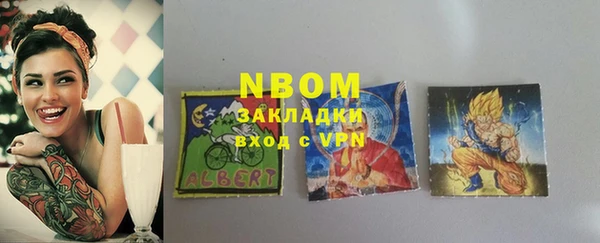 гидра Новодвинск