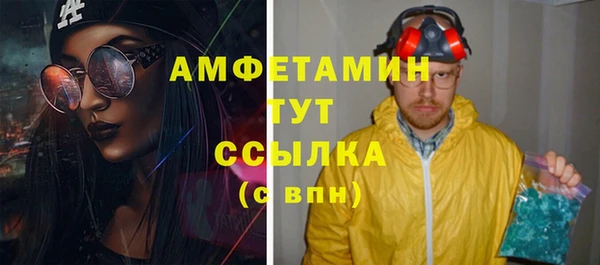 гидра Новодвинск