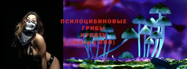 гидра Новодвинск