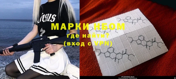 гидра Новодвинск