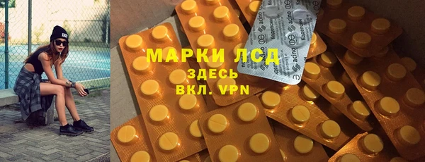 гидра Новодвинск