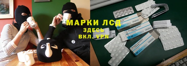 гидра Новодвинск