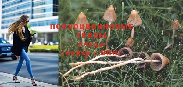первитин Нея