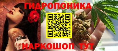 наркотики Дубна