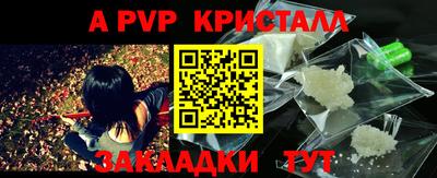 дмт Донской