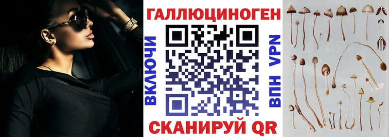 где купить наркоту  Кизилюрт  Галлюциногенные грибы GOLDEN TEACHER 