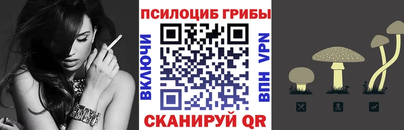 Галлюциногенные грибы GOLDEN TEACHER Кизилюрт
