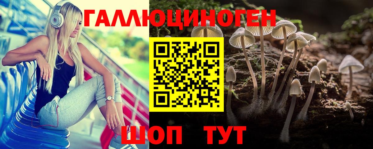 Кизилюрт  Галлюциногенные грибы GOLDEN TEACHER  Вход с VPN 