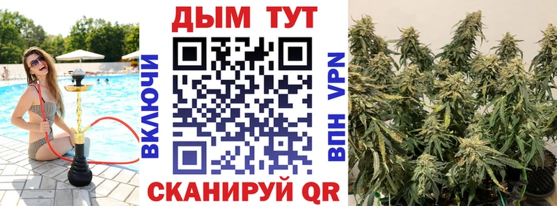 Каннабис индика Кизилюрт